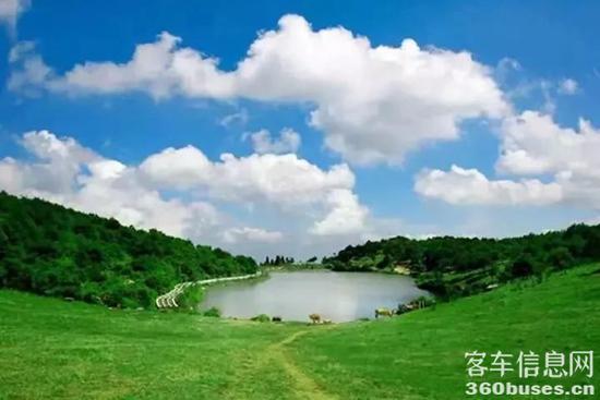 1646618140793994.jpg 5.jpg