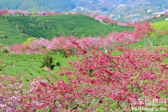 1646618303524912.jpg 11.jpg