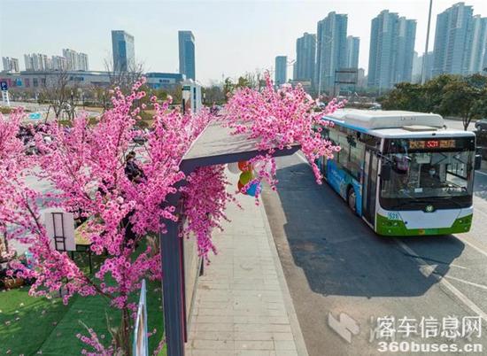 1646703531969058.jpg 1.jpg