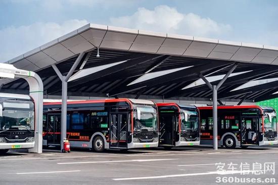 1647481582437971.jpg 10.jpg