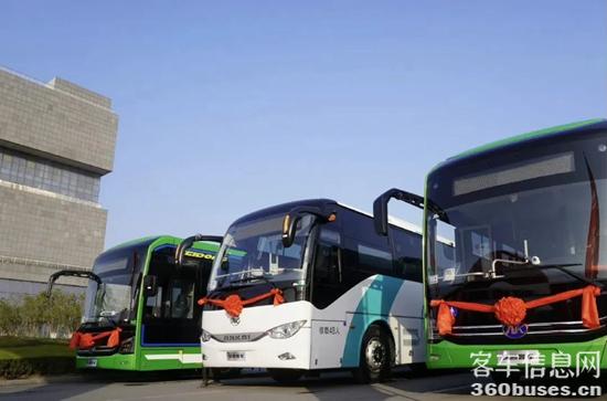 1647567240446167.jpg 1.jpg