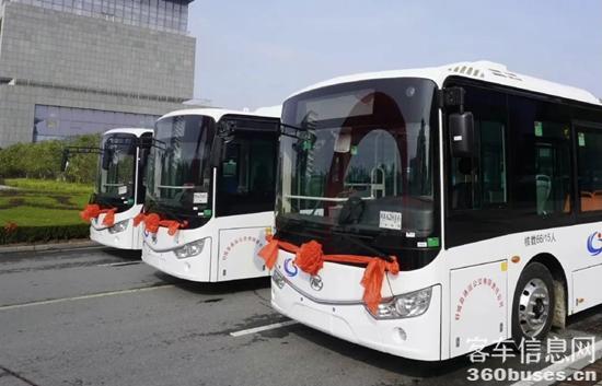 1647567247734153.jpg 2.jpg