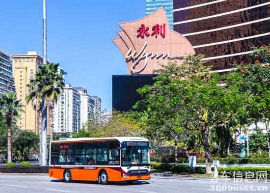 1647567772667131.jpg 7.jpg