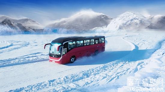 1647832663644324.jpg 5.jpg