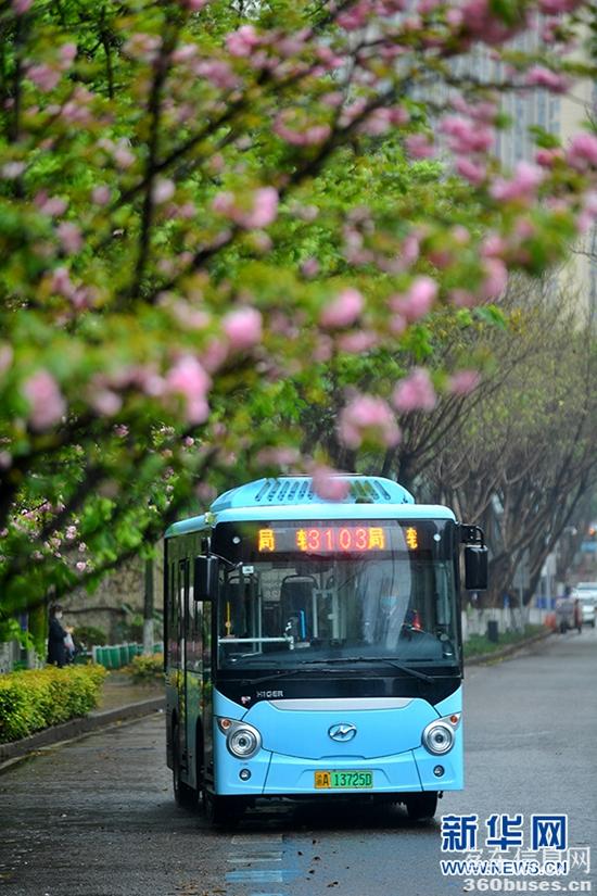 1648429948835002.jpg 1.jpg