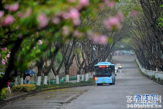 1648429977305474.jpg 4.jpg