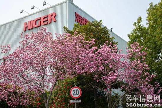 1648433867997995.jpg 1.jpg