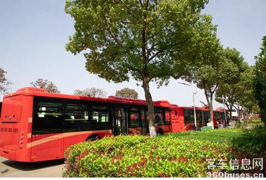 1648434007673074.jpg 7.jpg