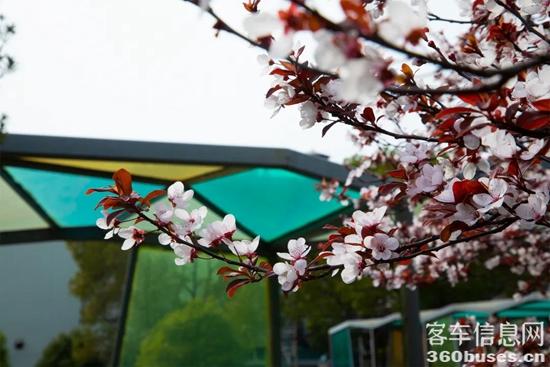 1648434214541210.jpg 15.jpg