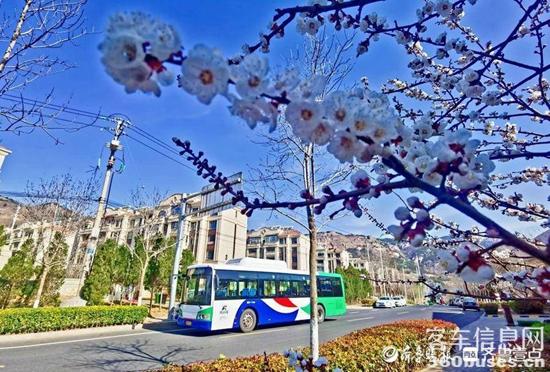 1650421119270963.jpg 2.jpg