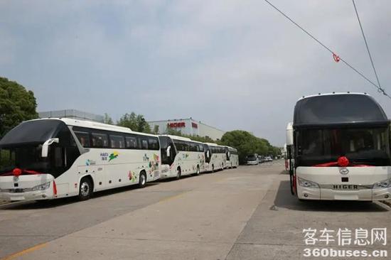 1651724192237671.jpg 5.jpg