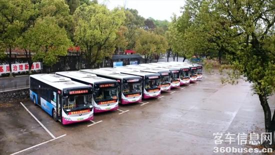 1652233638165916.jpg 1.jpg