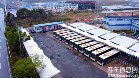 1652233692863249.jpg 9.jpg