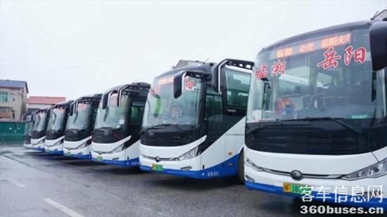 1652233717689688.jpg 11.jpg