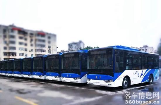 1652336854165682.jpg 1.jpg