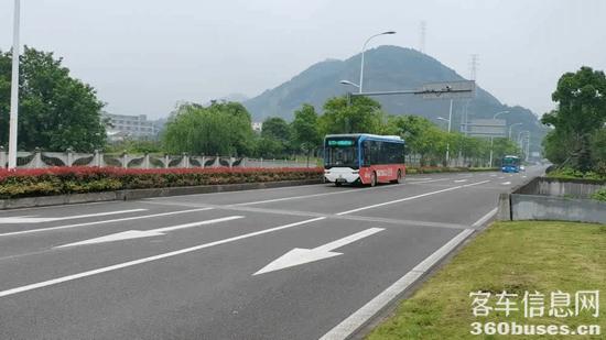 1653474367769930.jpg 8.jpg