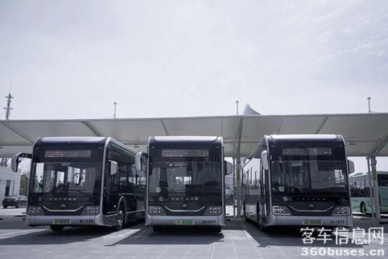 1655776882160707.jpg 8.jpg