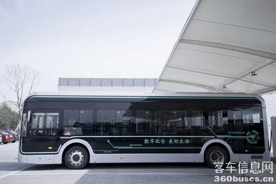 1655776893901964.jpg 9.jpg