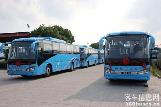 1655861974230340.jpg 4.jpg