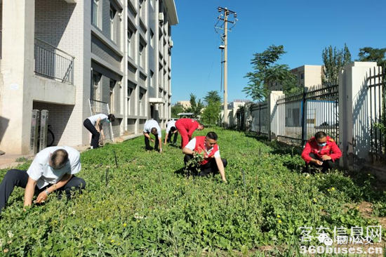 1656036156267612.png 1.png