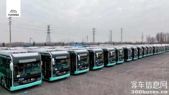 1656555929471418.jpg 8.jpg