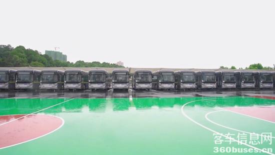 1657018596303099.jpg 10.jpg