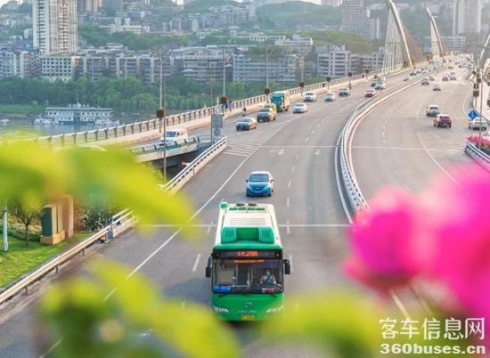 1657763680644291.jpg 1.jpg