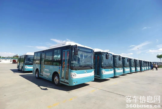 1661325507765134.png 金龍3.png