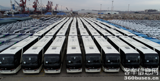 1661325515185063.png 金龍4.png