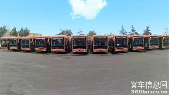 1662600984787253.jpg 1.jpg