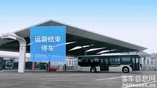 1663810493303913.jpg 11.jpg