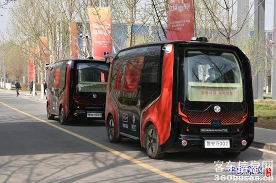 1665192281248828.jpg 2.jpg