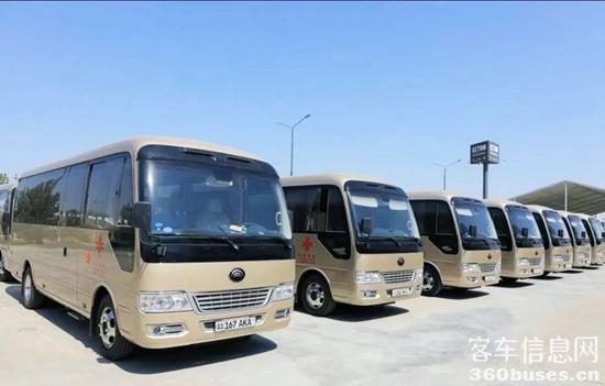 1665713050276523.jpg 2.jpg