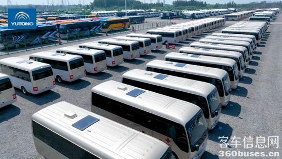 1665713110868658.jpg 3.jpg