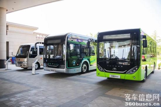 1665713631997899.jpg 1.jpg