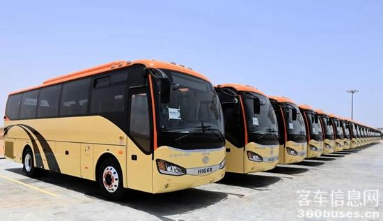 1666577185494840.jpg 5.jpg