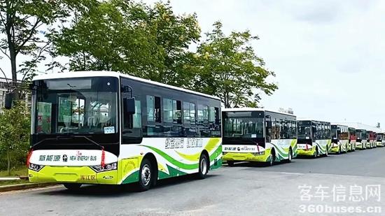 1666836324466601.jpg 1.jpg