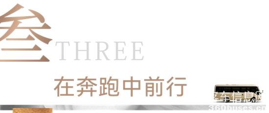 1666923019716327.jpg 12.jpg