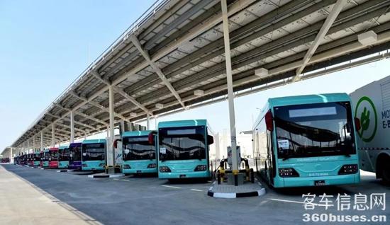 1667263404782107.jpg 5.jpg