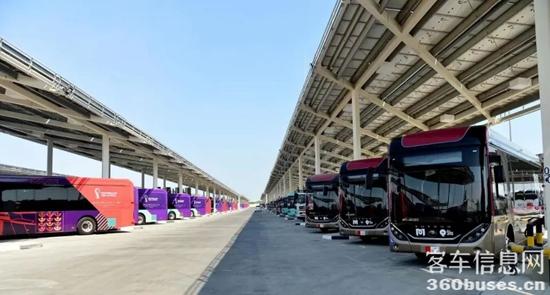 1667263541741918.jpg 12.jpg