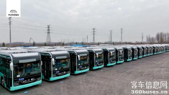 1667263616386173.jpg 15.jpg