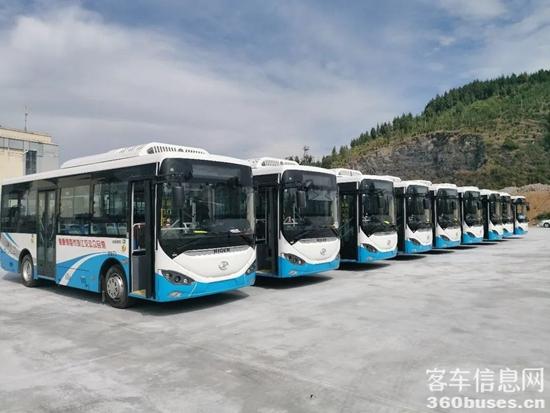 1667268074915320.jpg 1.jpg