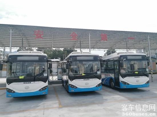 1667268089574129.jpg 3.jpg