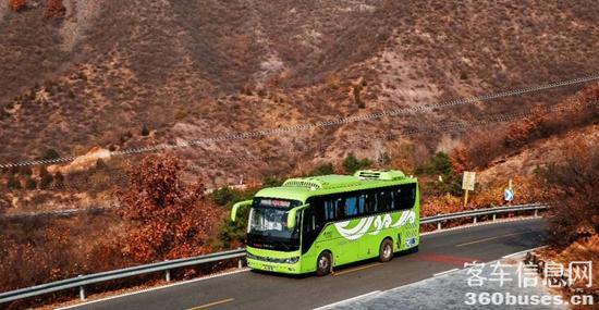 1668043123305672.jpg 9.jpg