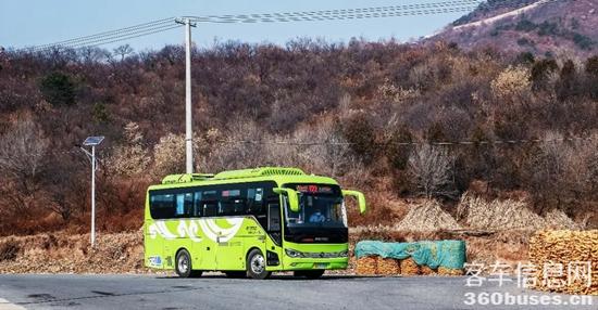 1668043147151980.jpg 10.jpg