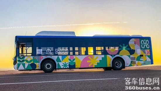 1668649289206576.jpg 2.jpg