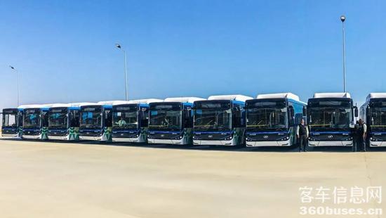 1668649296621875.jpg 3.jpg