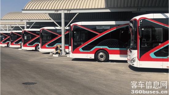 1669252996842781.jpg 3.jpg