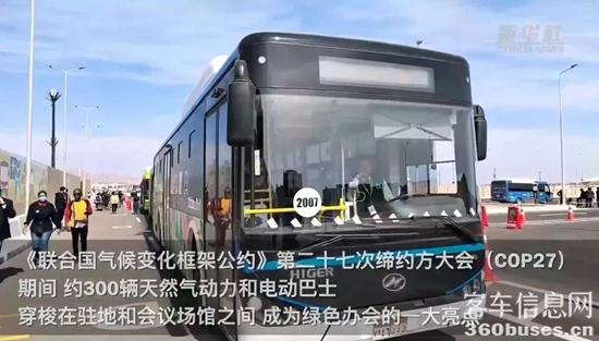 1669602579512307.jpg 1.jpg