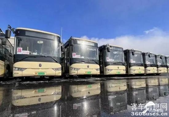 1669945852768821.jpg 91ef76c6a7efce1b6d0e120efa50aad5b58f65de.webp.jpg